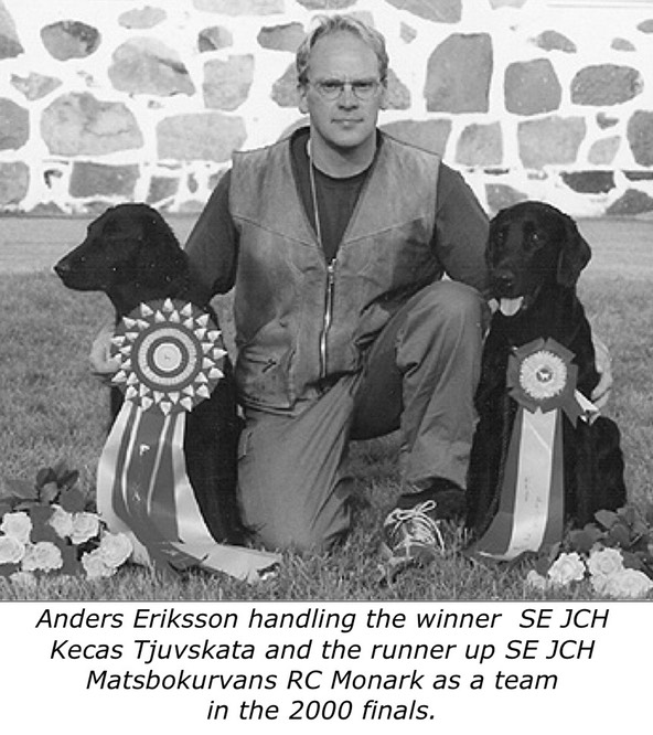 Anders Eriksson handling the winner SE JCH Kecas Tjuvskata and the runner up SE JCH Matsbokurvans RC Monark as a team in the 2000 finals