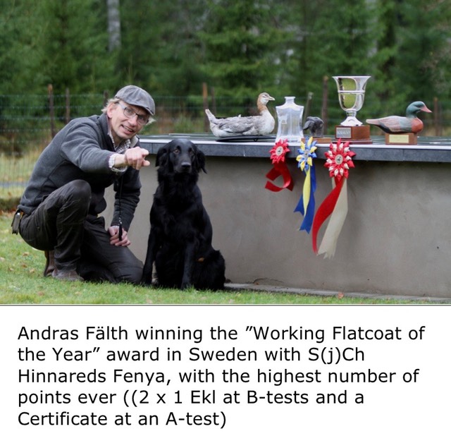 Andras Fälth winning the