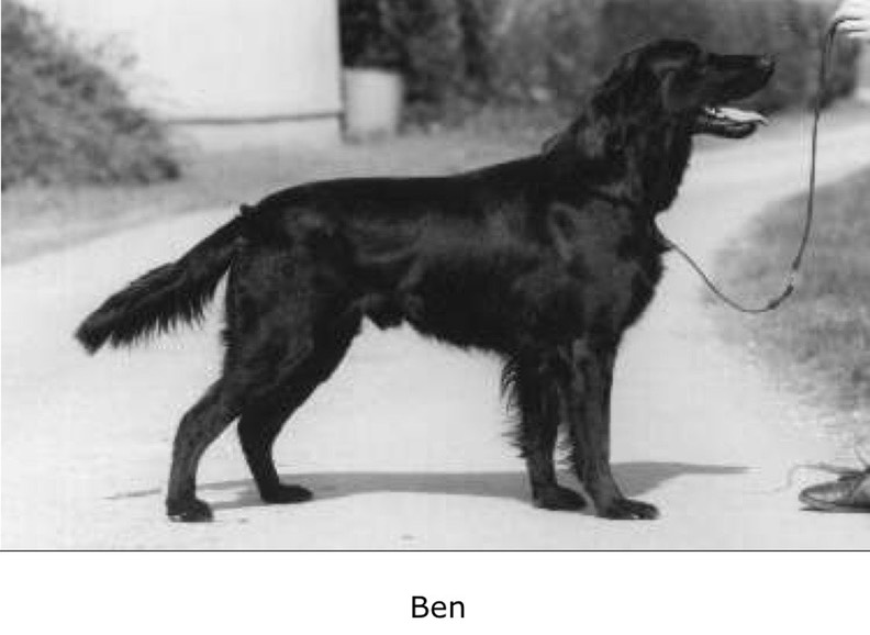 Ben