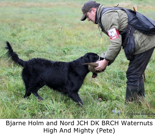 Bjarne Holm and Nord JCH DK BRCH Waternuts High And Mighty