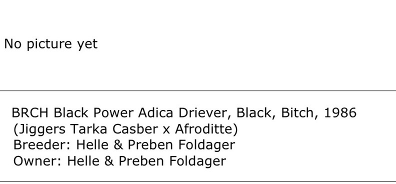 Black Power Adica Driever