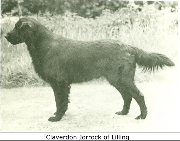 Claverdon Jorrock of Lilling