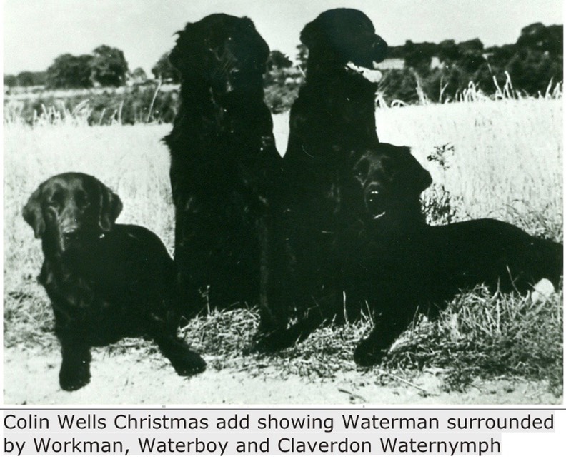 Colin Wells Christmas add showing Waterman surrounded by Workman