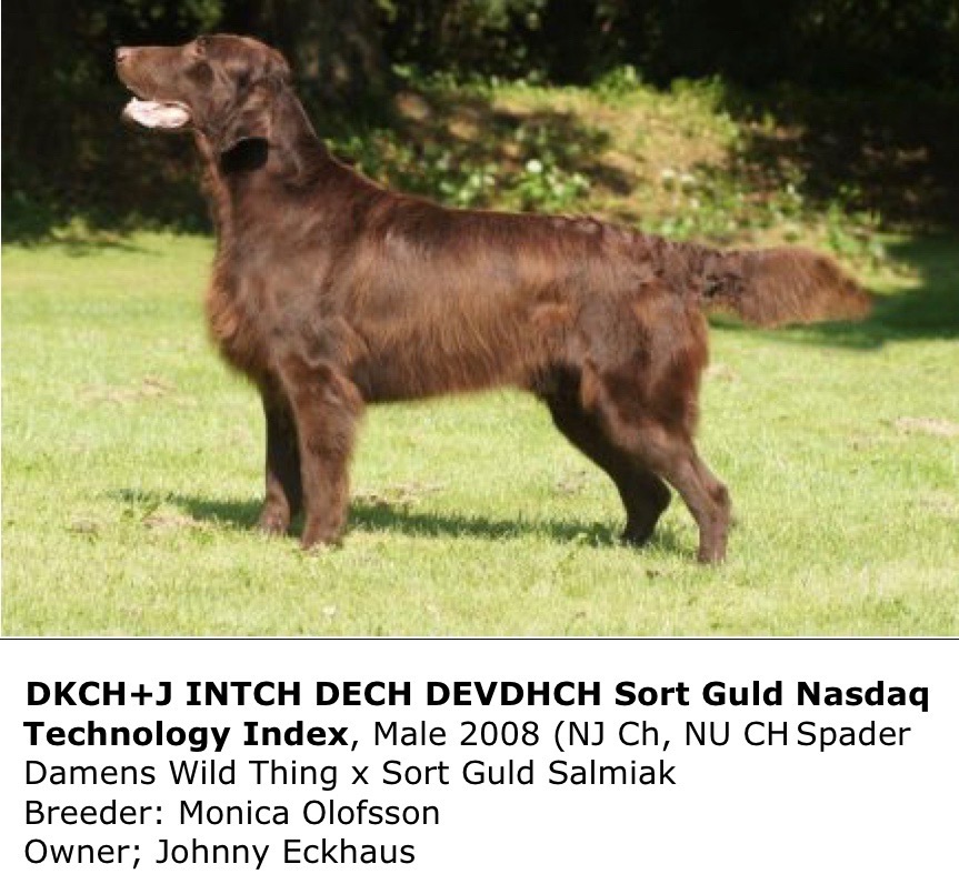DKCH+J INTCH DECH DEVDHCH Sort Guld Nasdaq Technology Index