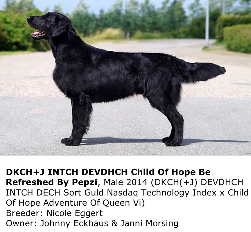 DKCH+J INTCH DEVDHCH Child Of Hope Be Refreshed By Pepzi