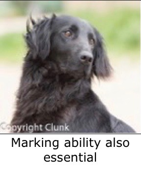 Marking ability also