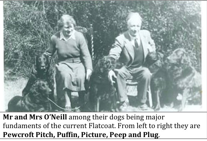 Mr and Mrs O’Neill among their dogs being major fundaments of the current Flatcoat