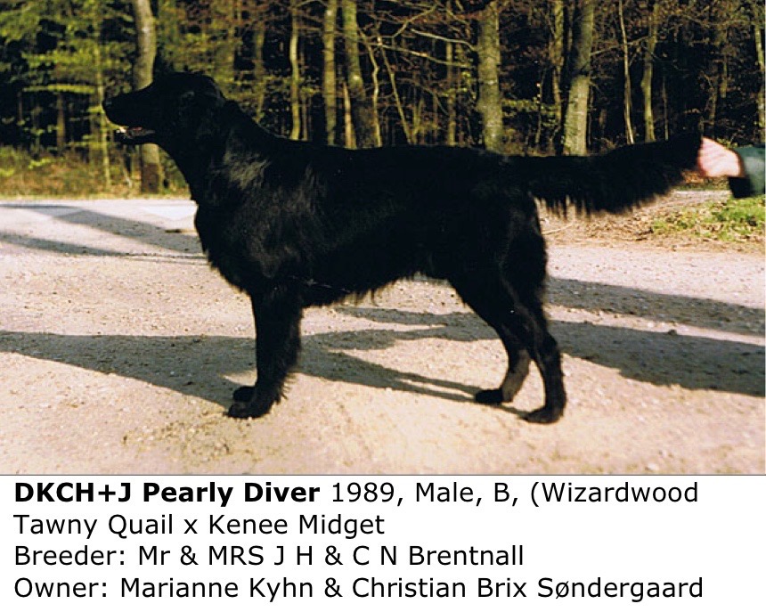Pearly Diver