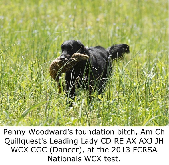 Penny Woodward’s foundation bitch