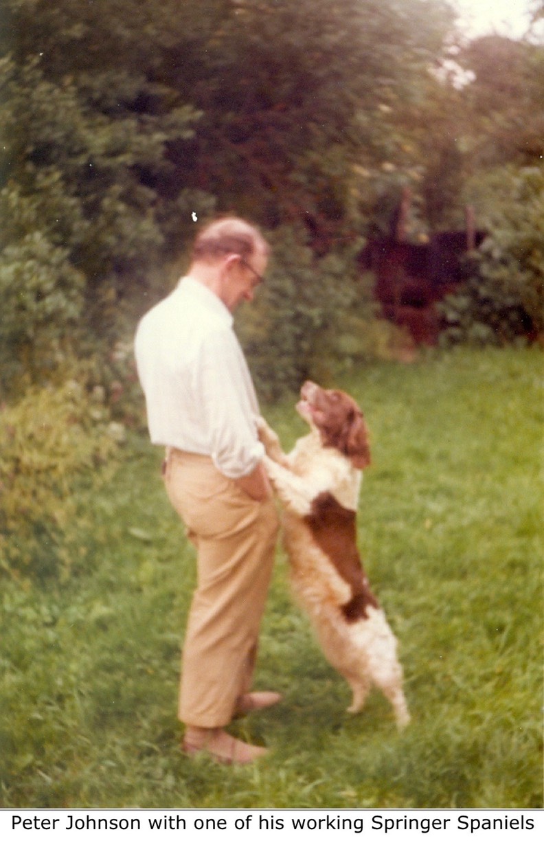 Peter Johnson with one of his working Springer Spaniels