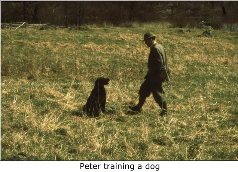 Peter training a dog