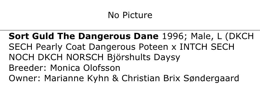 Sort Guld The Dangerous Dane 1996