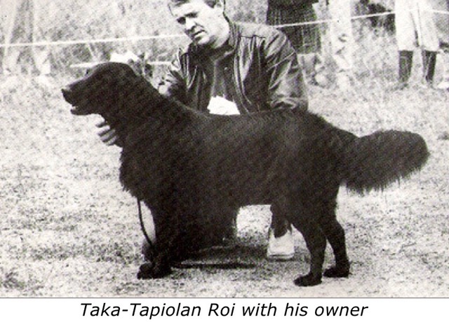 Taka