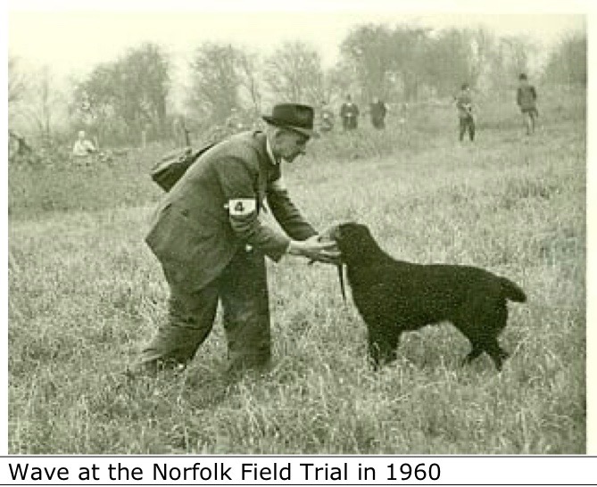 Wave at the Norfolk Field Trial in 1960